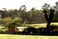 Native plants by lake garden