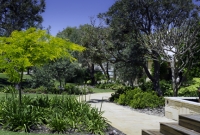 Trees framing path