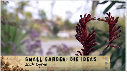 ABC Gardening Australia Josh Byrne