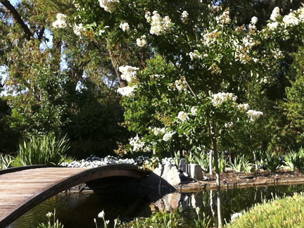 Bridge across country garden pond