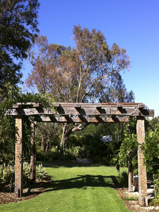 Beautiful gazebo in country garden