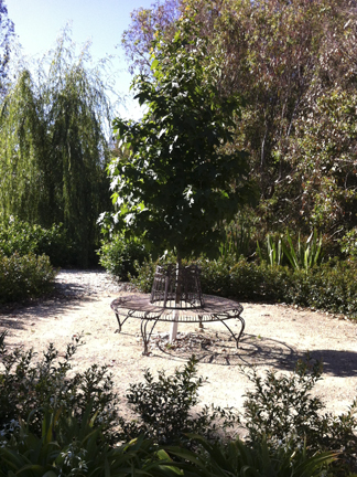 Circular resting area in country garden