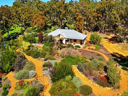 Large Australian native garden