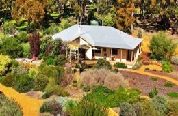 Australian native garden