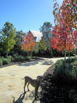 Sandstone driveway