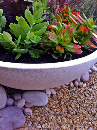 Wok bowl planter